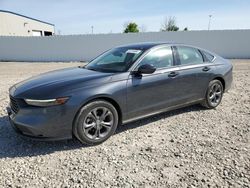 Salvage cars for sale at Appleton, WI auction: 2024 Honda Accord EX