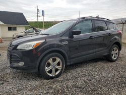 Salvage cars for sale at Northfield, OH auction: 2013 Ford Escape SE