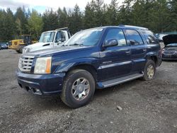 Cadillac Escalade Vehiculos salvage en venta: 2004 Cadillac Escalade Luxury