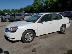 Chevrolet salvage cars for sale: 2004 Chevrolet Malibu LT