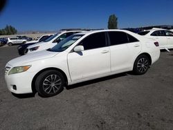 Salvage cars for sale at North Las Vegas, NV auction: 2010 Toyota Camry Base