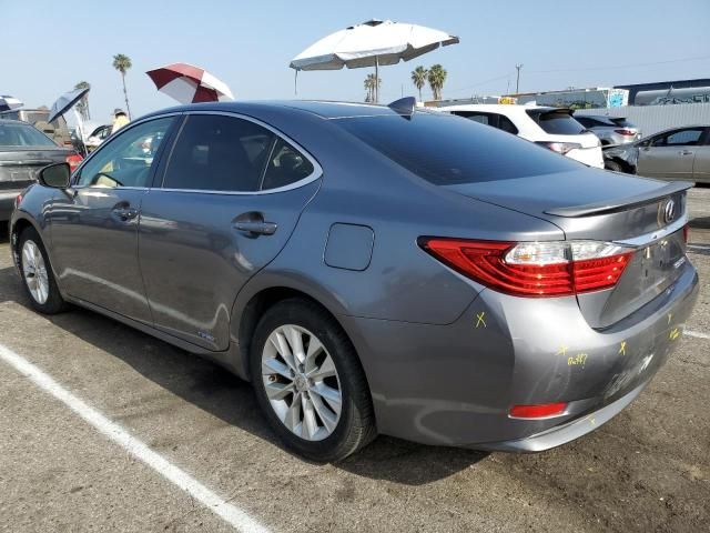 2015 Lexus ES 300H