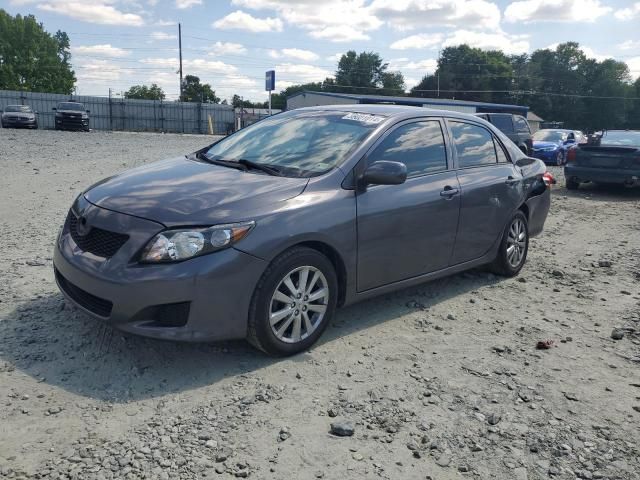 2010 Toyota Corolla Base