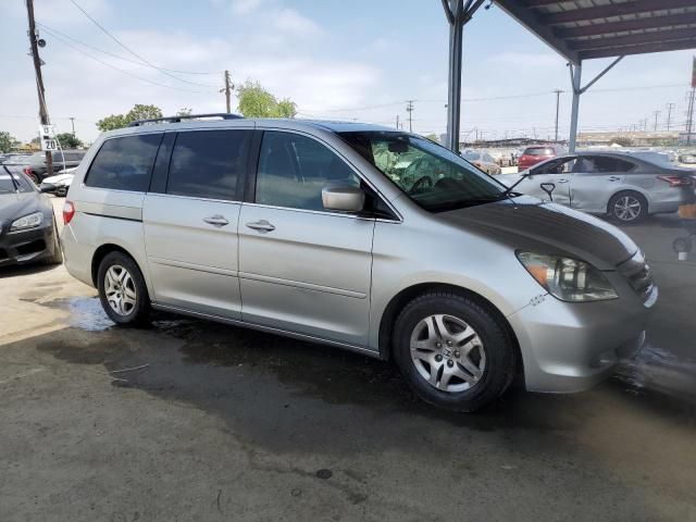 2005 Honda Odyssey EXL