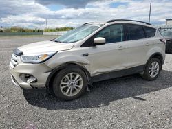 Salvage cars for sale at Ottawa, ON auction: 2018 Ford Escape SEL