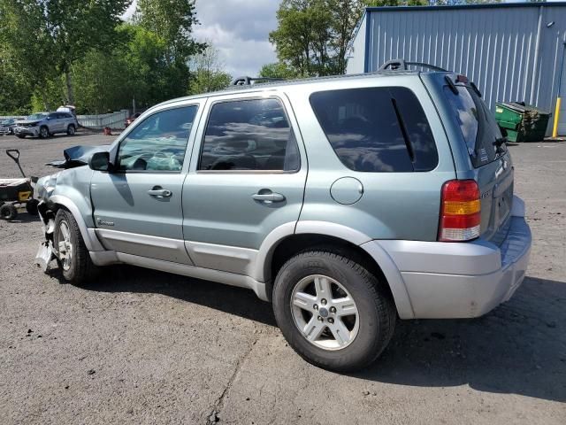 2006 Ford Escape HEV