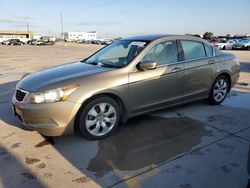 Salvage cars for sale from Copart Grand Prairie, TX: 2009 Honda Accord EXL