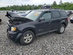 Hybrid Vehicles for sale at auction: 2011 Ford Escape Hybrid