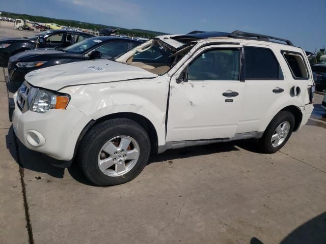 2009 Ford Escape XLT