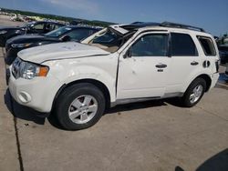 Salvage cars for sale at Grand Prairie, TX auction: 2009 Ford Escape XLT