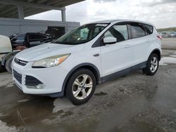 Salvage cars for sale at West Palm Beach, FL auction: 2014 Ford Escape SE