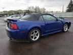 2003 Ford Mustang GT