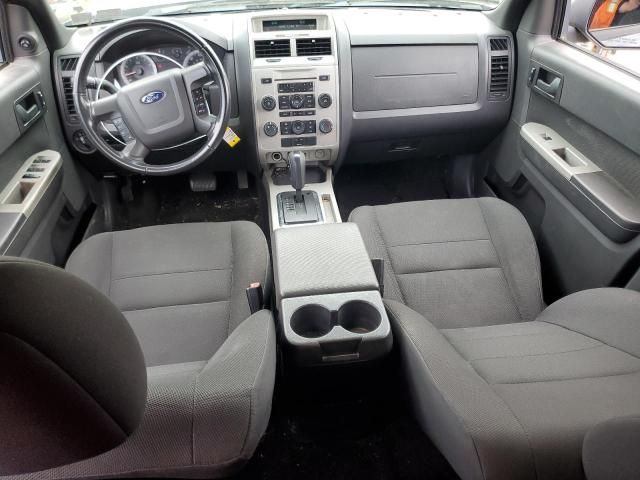 2009 Ford Escape XLT