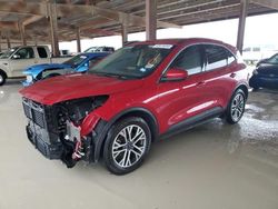 Salvage cars for sale at Houston, TX auction: 2020 Ford Escape SEL