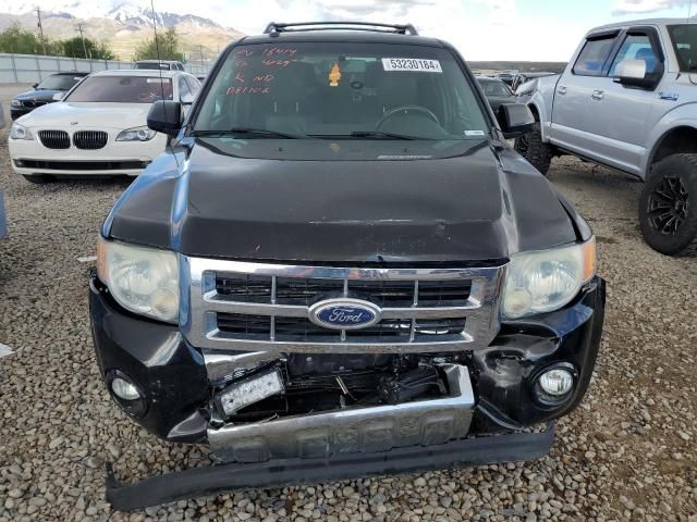 2010 Ford Escape Limited