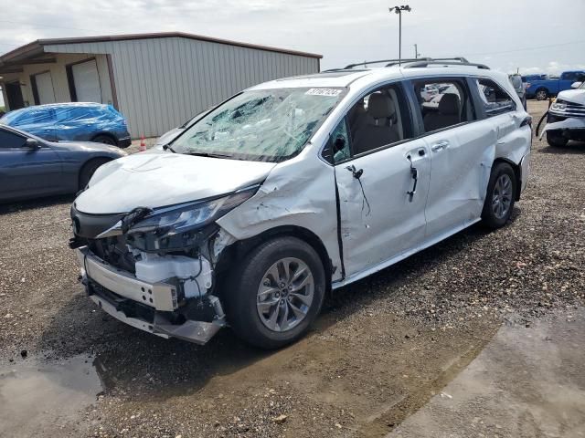 2023 Toyota Sienna XLE