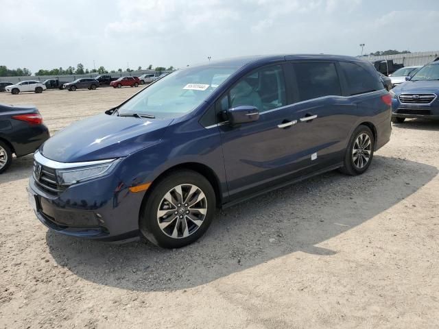 2024 Honda Odyssey EXL