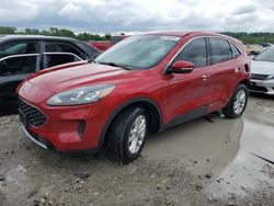 Salvage cars for sale from Copart Cahokia Heights, IL: 2020 Ford Escape SE