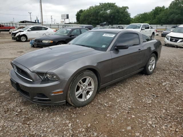 2013 Ford Mustang