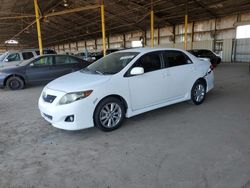 Salvage cars for sale from Copart Phoenix, AZ: 2010 Toyota Corolla Base
