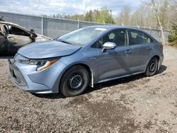 Salvage cars for sale from Copart Bowmanville, ON: 2020 Toyota Corolla LE