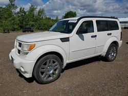 Salvage cars for sale at Columbia Station, OH auction: 2008 Dodge Nitro R/T