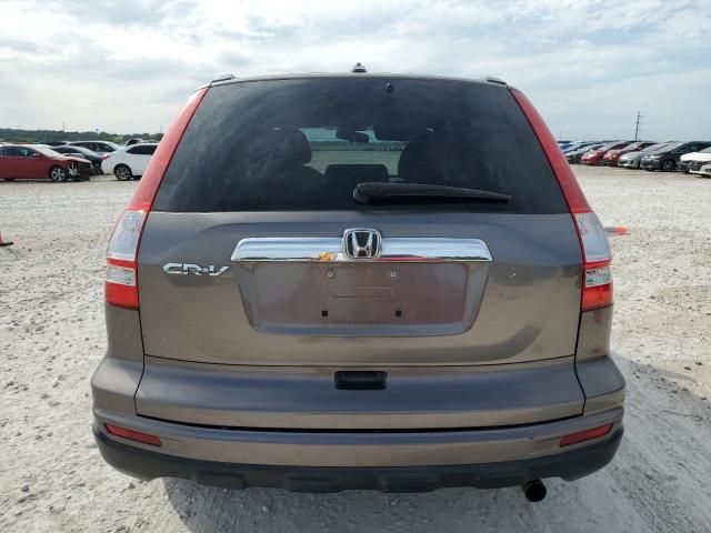 2010 Honda CR-V EXL