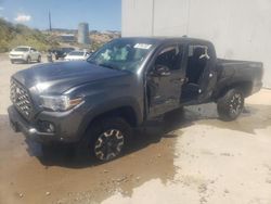 Salvage cars for sale at Reno, NV auction: 2023 Toyota Tacoma Double Cab