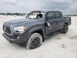 Salvage cars for sale at Arcadia, FL auction: 2023 Toyota Tacoma Double Cab