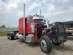 Salvage trucks for sale at Houston, TX auction: 2013 Peterbilt 389