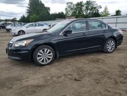 Salvage cars for sale from Copart Finksburg, MD: 2011 Honda Accord EXL