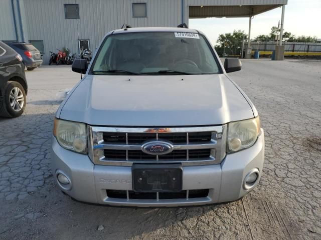 2008 Ford Escape XLT