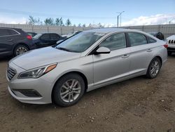 Salvage cars for sale from Copart Nisku, AB: 2015 Hyundai Sonata SE