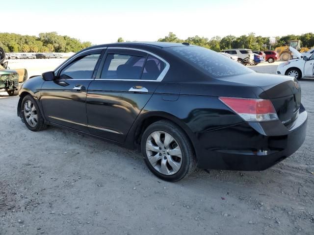 2008 Honda Accord EXL