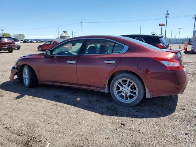 2010 Nissan Maxima S