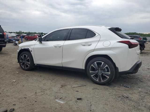 2024 Lexus UX 250H Premium