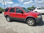 2002 Ford Escape XLT