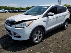 Salvage cars for sale from Copart Windsor, NJ: 2014 Ford Escape SE