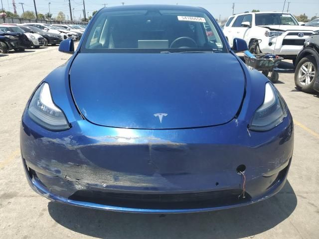 2020 Tesla Model Y