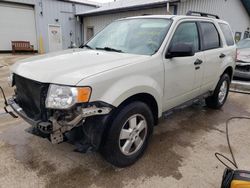 Salvage cars for sale from Copart Pekin, IL: 2009 Ford Escape XLT