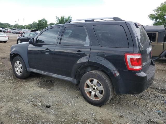 2010 Ford Escape Limited