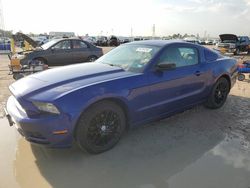 Salvage cars for sale at Houston, TX auction: 2014 Ford Mustang