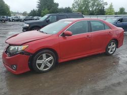 Salvage cars for sale at Finksburg, MD auction: 2014 Toyota Camry L