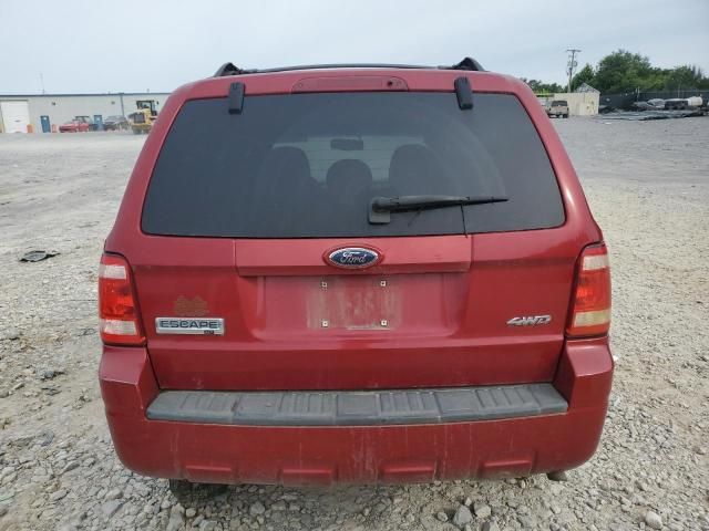 2009 Ford Escape XLT