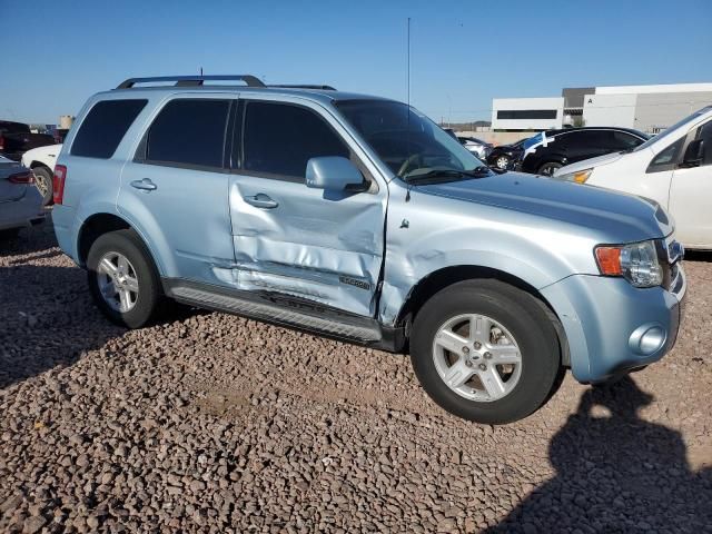 2008 Ford Escape HEV