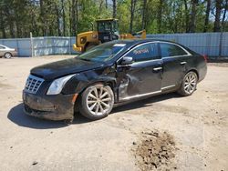 Salvage cars for sale at Ham Lake, MN auction: 2013 Cadillac XTS Luxury Collection
