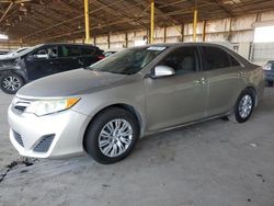 Salvage cars for sale at Phoenix, AZ auction: 2013 Toyota Camry L