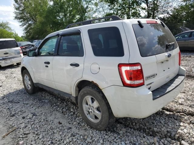 2010 Ford Escape XLT