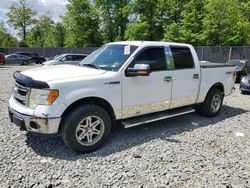 Salvage cars for sale at Waldorf, MD auction: 2013 Ford F150 Supercrew