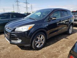 Salvage cars for sale at Elgin, IL auction: 2013 Ford Escape SEL